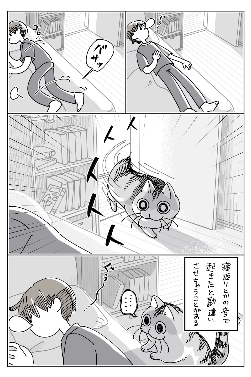grapeejp's tweet image. 起きたか?チェック #grapeサブカル部
「こういう時だけ早いよね」 猫の行動に「笑った」「静かな圧を感じる…」 grapee.jp/2022317 @grapeejpより