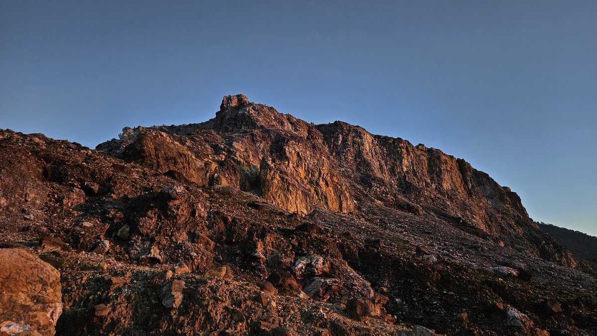 Inventory tweet media