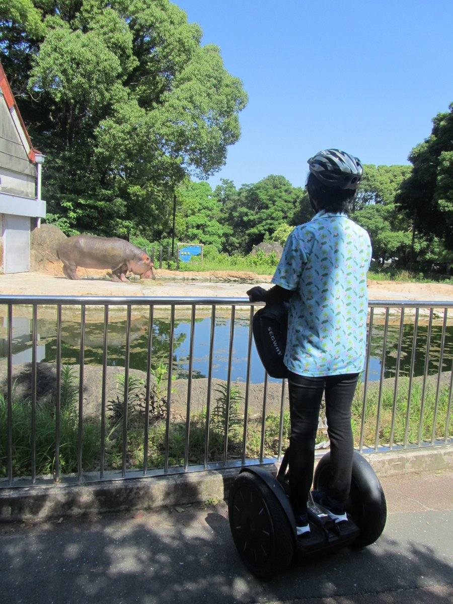 non_hoi_park's tweet image. のんほいパークのセグウェイツアーは、インストラクターと一緒にガイドしながら園内をまわるツアーになります。のんほいパーク、H.Pから開催・予約状況確認の上、予約お待ちしております! #のんほいパーク #セグウェイツアー