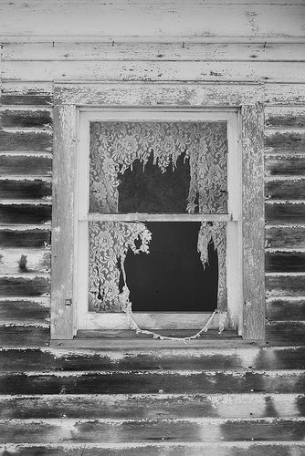 Wildflower2107's tweet image. Poisoned
White
Lace
#3wordspoet #lace #micropoetry #poetrycommunity #rbg