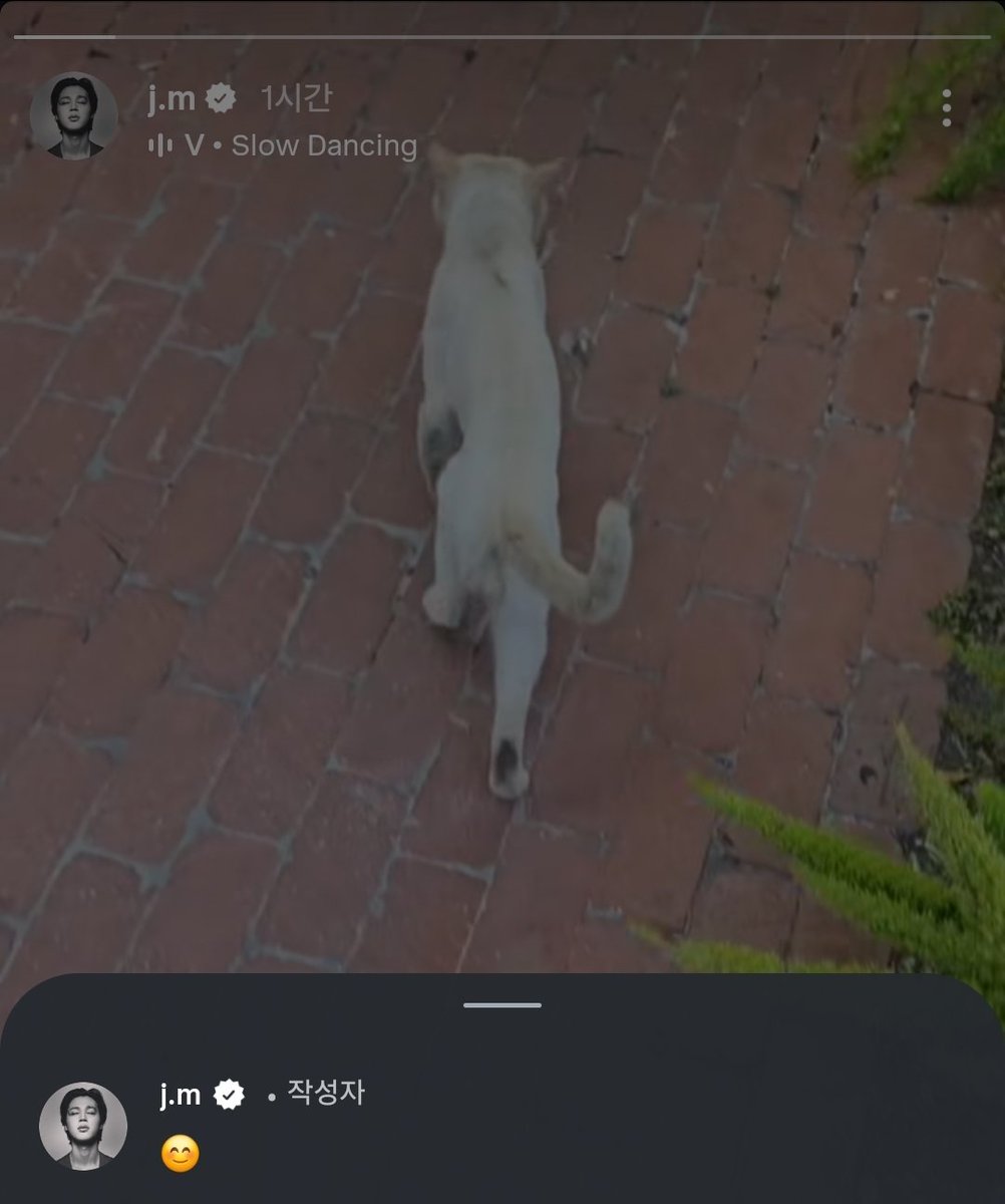 myrockstar_joon's tweet image. 박지민 자꾸 자기 스토리에 댓글다는거 왤케 웃기지 아저씨같애ㅜㅜ