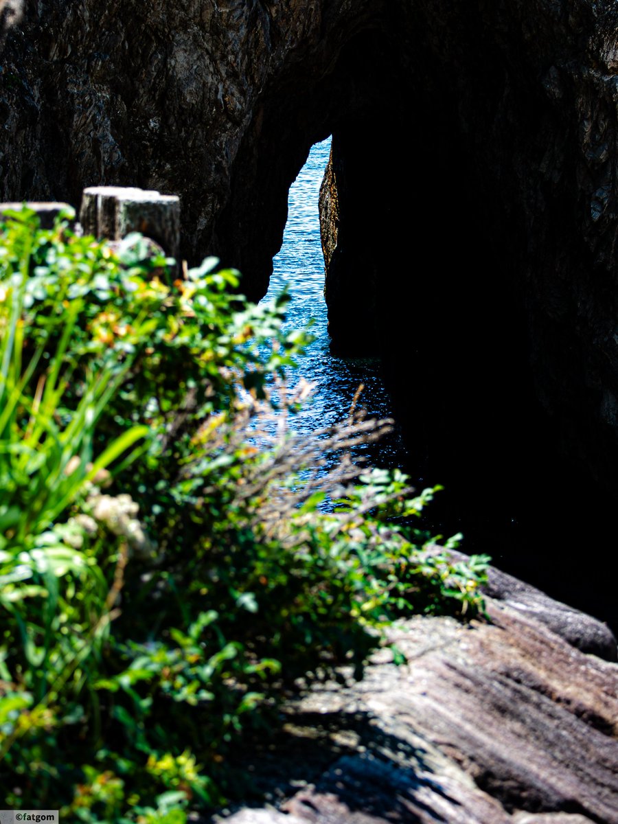 fatgom_jp's tweet image. 鳥越山
#笹川流れ