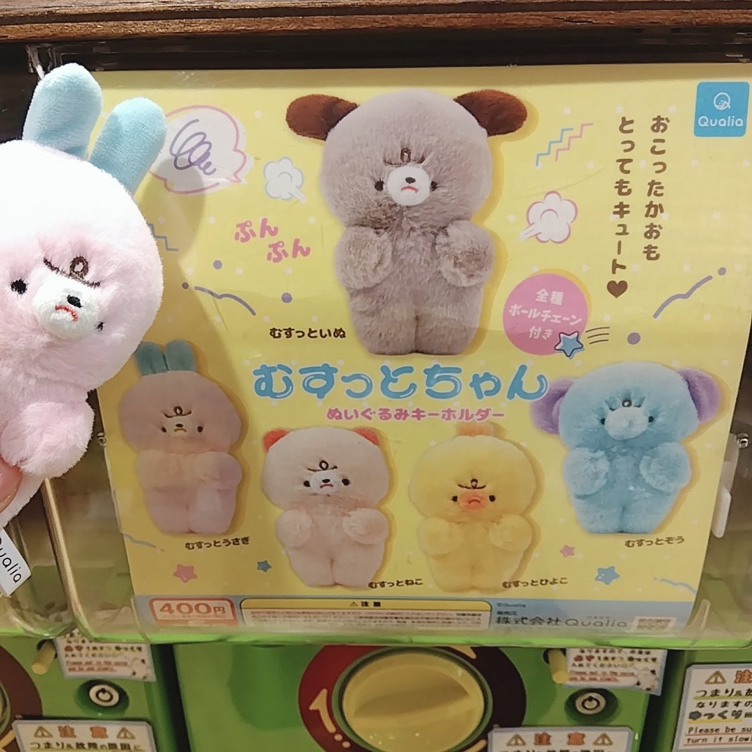 hirogachaoukoku's tweet image. 🔥ガチャフェス商品紹介🔥
#Qualia
むすっとちゃん
ぬいぐるみキーホルダー😾
おこったかおもとってもキュートな動物たち😍💕
残り僅かなのでお早めにどうぞ💦
#カプセルトイ #ガチャガチャ #広島 #hiroshima #本通り #ガチャ王国 #ガチャ #gacha #扭蛋 #캡슐토이 #가챠 #むすっとちゃん