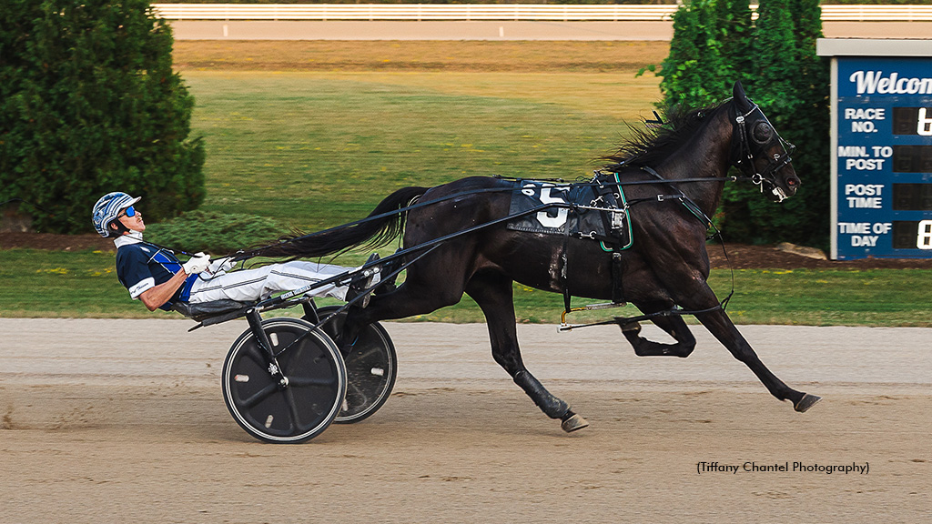 SugarDoyle's tweet image. Chip Happened Continues Grand River Win Streak standardbredcanada.ca/news/7-26-25/c…