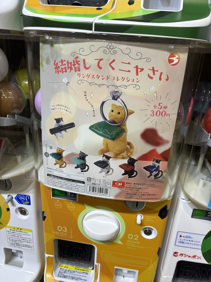 Nons00410540's tweet image. めっちゃ可愛いガチャガチャあった
そして3つ目のやつなーちゃんの茶トラが欲しい!って言ったら菅田が1発でなーちゃん出した👀
めっちゃ嬉しい☺️
