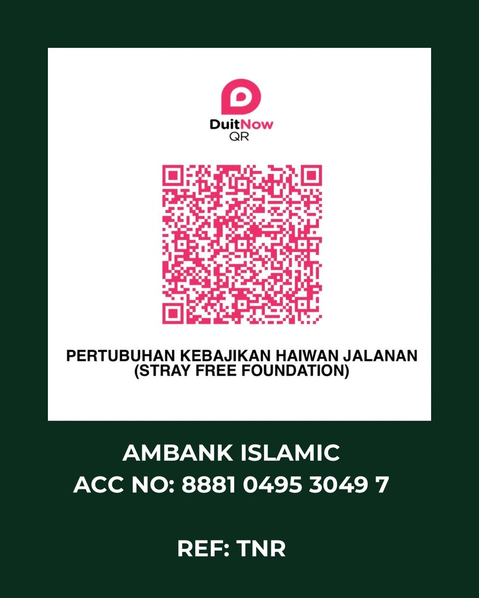 Update fundraising PPR TNR Seri Nilam
<a href="/itsybitsymin/">min min 🐱</a> <a href="/fourmeows1/">fourmeows</a> <a href="/cats_rehome/">Kucing Terbuang</a> <a href="/AimanAirin2/">NegaraKuTanahAir 🇲🇾</a> <a href="/meinmokhtar/">🔺meingl🔻</a> <a href="/FiskaYenitaFK_/">𝐦𝐢𝐨𝐰🐾</a> <a href="/ManjitSinghG5/">M.S.G.S</a> <a href="/crazycatmakcik/">Aunty Yun</a> <a href="/ImranSyaffi/">M'ran</a> <a href="/JackyDogsCats85/">🇲🇾 Jacky on a mission to save street dogs🐺💫🌊</a>