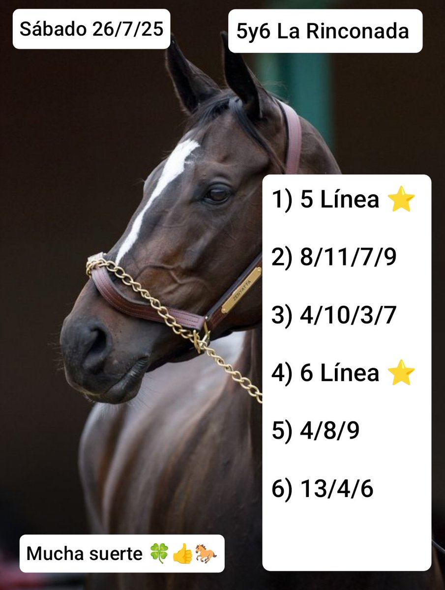 Mucha suerte amigos 🍀👍🐎