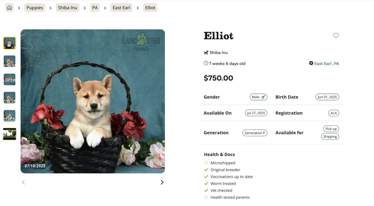 LeanOnBonk's tweet image. This Is $ELLIOT, The $750 Shiba Inu
Lets prove that He's worth $1M
I will personally buy this dog If we Succeed our goal.