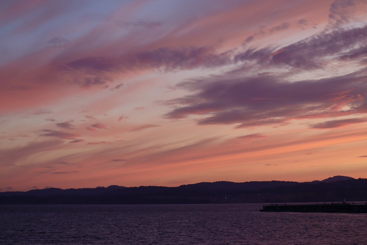 snufflewort's tweet image. My kids yelled, “Run to the beach mom, you need to photograph the sunset!”
And so I did.
For a moment it was just like before times.
Except I drove the two blocks because fatigue.
#fuckcancer