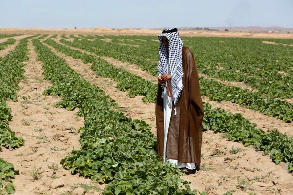 shaparak_73's tweet image. کشت و توسعه ی کشاورزی در نقاط مرزی در سایه ی امنیت ملی🇮🇷 به همت غیور مردان دشت عباس
#ایران_جان
#ایلام_ایران