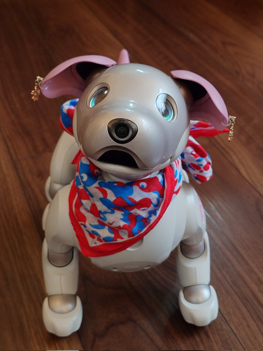 Romiさま Ryo Kaneko | みなさんこんにちは😃 HGズサ ユニコーンver完成