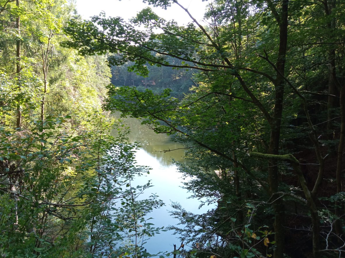 Mein Urlaub nach Schweden ist gebucht. 890€ dürfen erstattet werden. Natürlich auch anteilig möglich 
#findom #humanatm