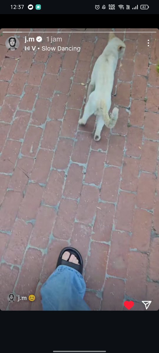 boraboravie's tweet image. Loh jadi di upload ya, sebenarnya tuh kita lagi jalan eh nemu kucing liar trs jimin vidioin kucingnya sambil dielus elus ๐คญ untung aku ga ke spill di vidio ๐