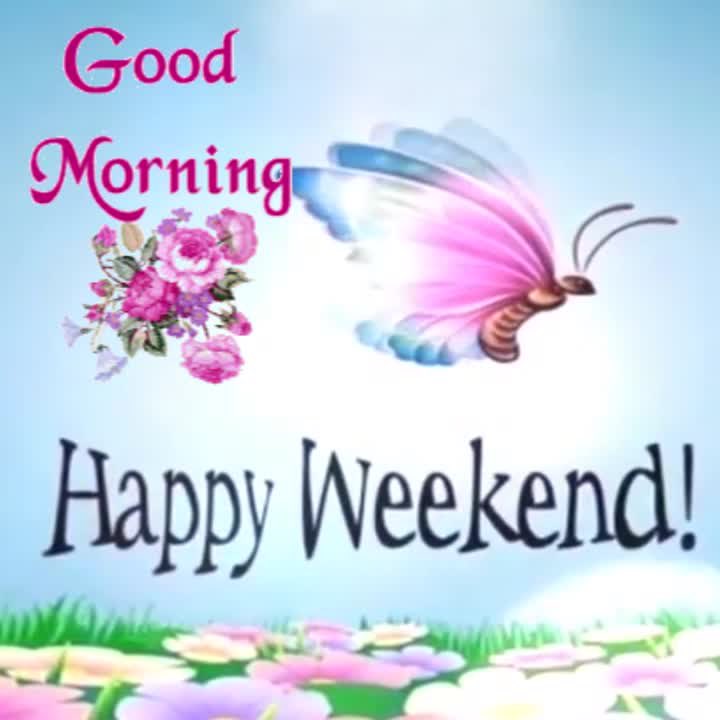 <a href="/Monica09058845/">Monica 🍀⚘️🌍📚🐞🎧</a>
