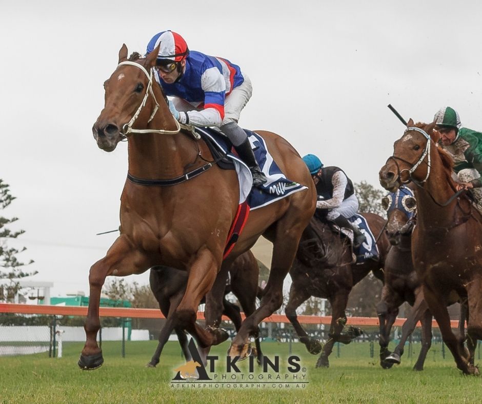 terry_hann's tweet image. The Fleurieu Milk Company Handicap at Morphettville was won by From The Block, trained by @RJollyRacing and ridden by Jake Toeroek.
Photos ~ AtkinsPhotography.com.au
Pre-race photos ~ AtkinsRacing.com.au
@RacingSA @SAJockeyClub @PriceBloodstock @ChantelleJolly