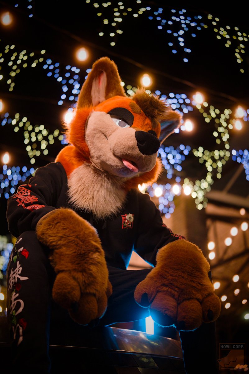 OneShotFox🇳🇿 (@oneshotfox) on Twitter photo 