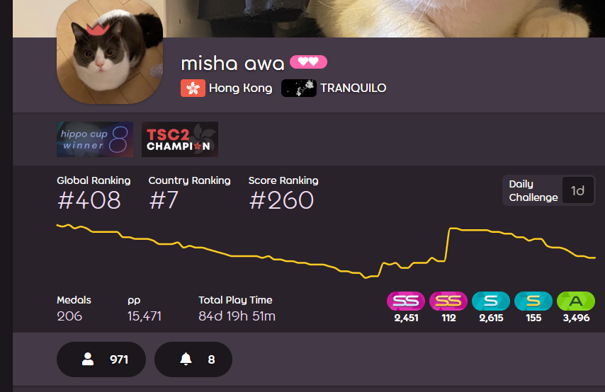 misha_awa tweet media