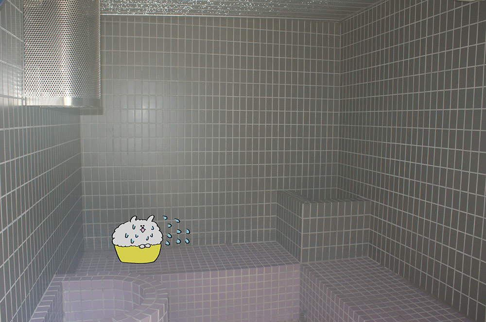 こんにちは😀
昨日に引き続きサウナの紹介です!

大黒湯の露天側には、スチームサウナもございます.
蒸気で満たされた空間で、代謝アップに繋がるので心身ともにリラックスしていってください♨️

本日7/27(日)は13時～営業スタートです👍
大露天側：男性
炭酸側：女性