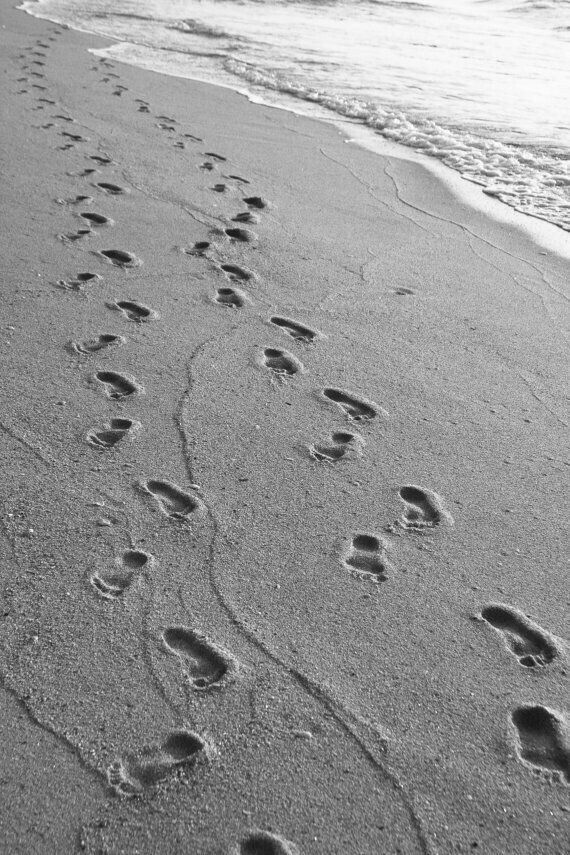GemmitiMoreno's tweet image. ho scavato nella sabbia e
confuso nei ricordi ho trovato
relitti di passi dimenticati.
Tutto torna e niente resta,
ma si sa, il mare è impietoso
come il tempo ⚘