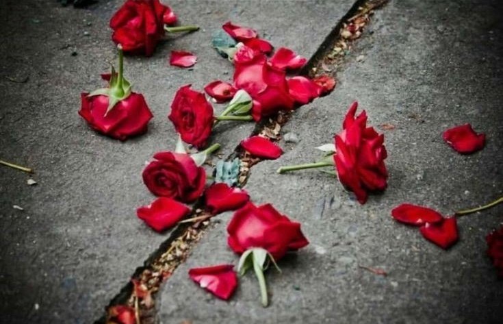 इश्क में फ़ना होने का अब दस्तूर कहां..
मुसाफिर सा इश्क है आज यहां तो कल वहां। 

Good morning 

<a href="/_aisha_192516/">Ashii</a>