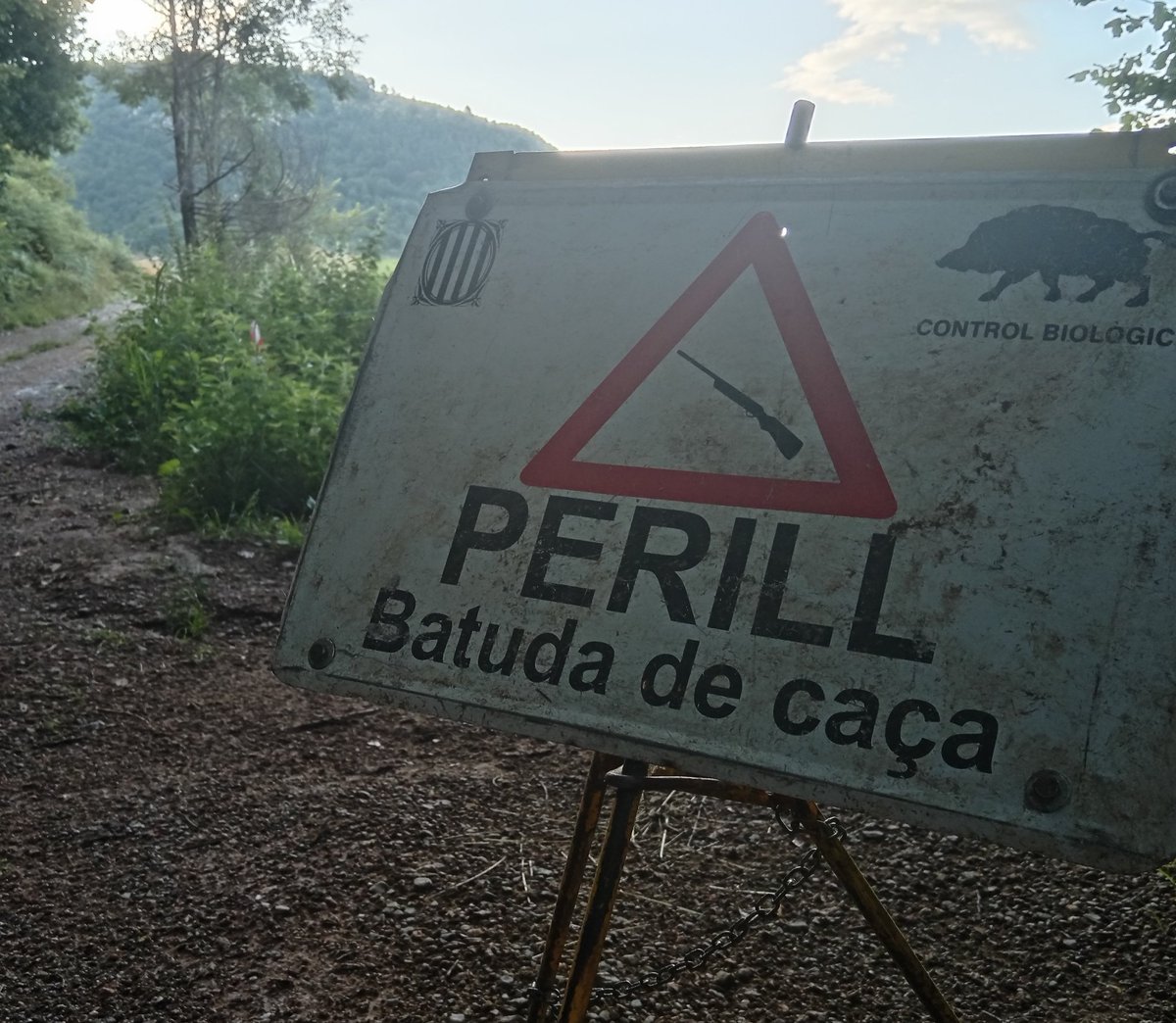 xaiecologic's tweet image. Sort pels gossos i encerts pels homes!
Defensem la terra!!
#AlertaSometent
#BatudaSenglar
#GuerraPerLaTerra
#ALesArmes💪💪