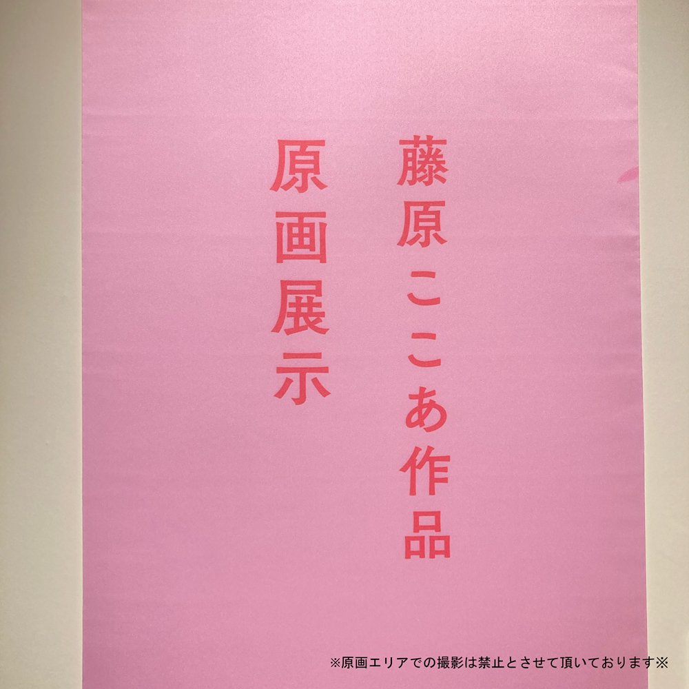 ktqmm's tweet image. #いぬぼく展
🌸見どころ紹介🌸
当会場から下描き原稿の展示が大幅に追加されました!
また、初期作品「ストレイドール」の貴重な原画も登場!追加点数は合計70点以上にのぼります。
静謐な空間での鑑賞を楽しんでくださいね。
8月31日(日)まで開催中✨
※火曜日は休館(8月12日を除く)
