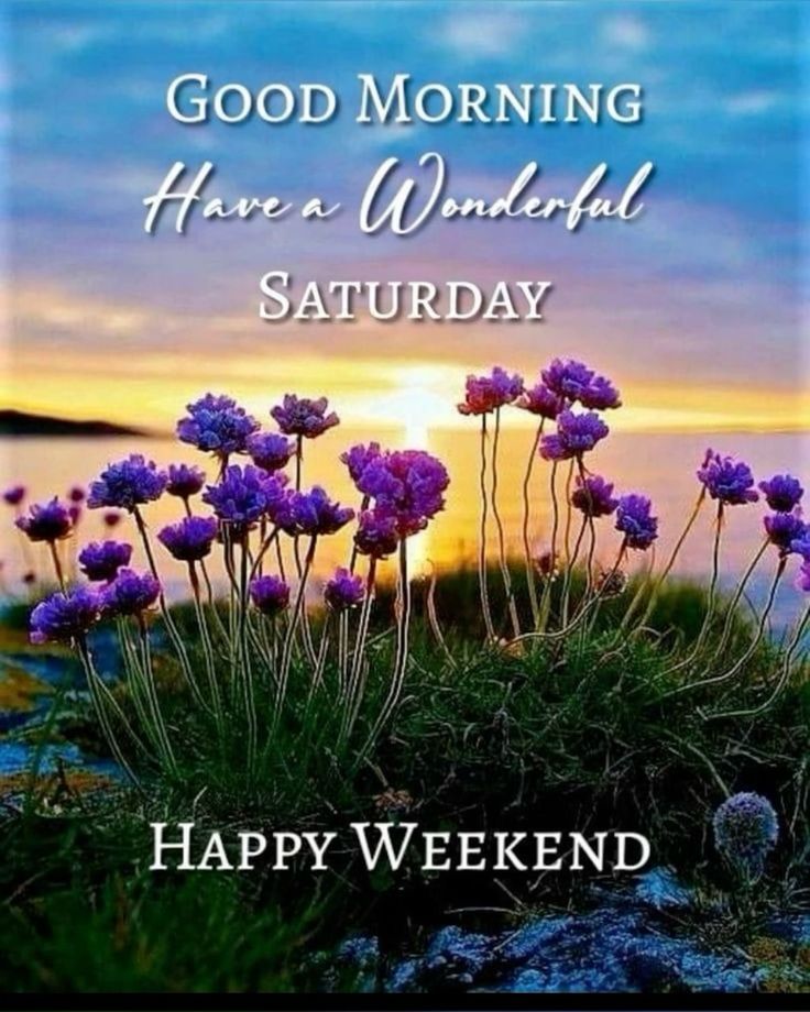 OhoraEmily's tweet image. Good morning me beautiful darlings ☕️☀️ happy Saturday to you all 🥰 wishing everyone a truly fantastic day whatever you may be doing 😊 
Sending lots of big hugs.. love &amp;amp; blessings. Take care &amp;amp; stay safe 🌸🌺🌻☮️🌄👋🙏🌷🙌🩷💐💛🫶 xoxo