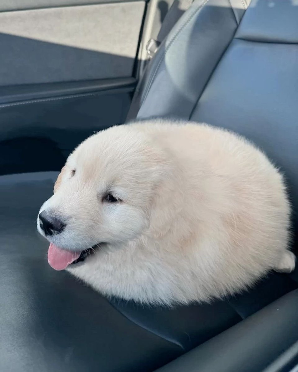 Cute
