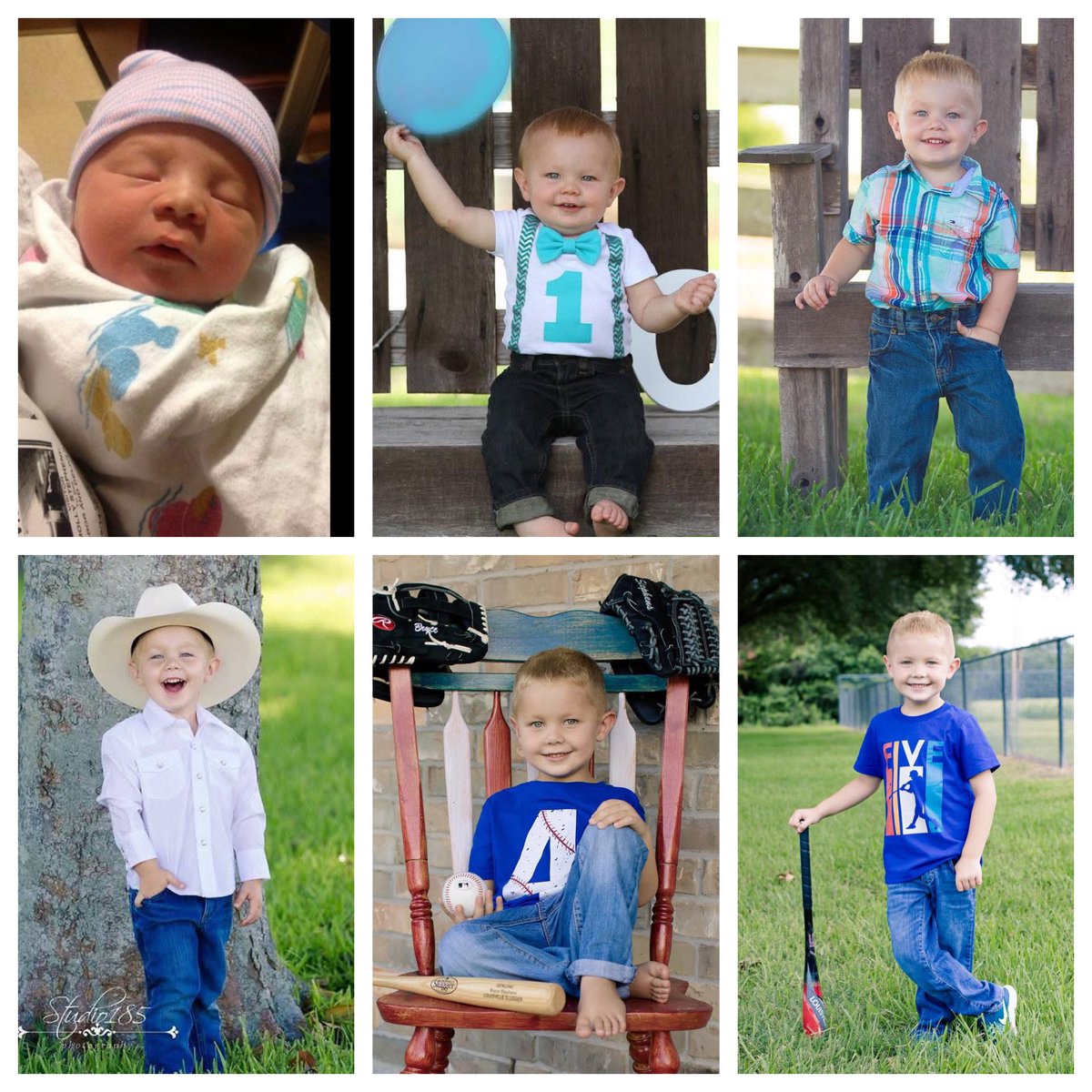 Amanda Stephens tweet media