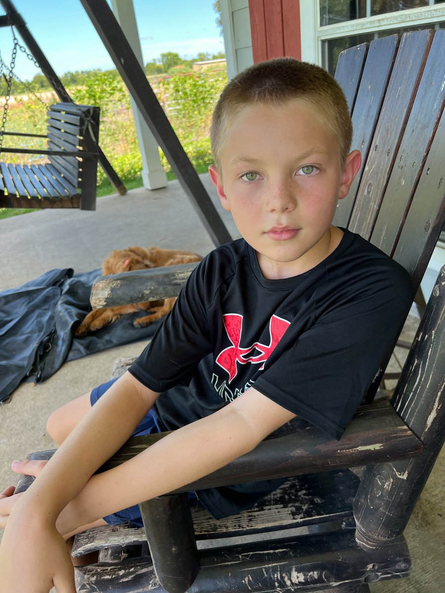 Amanda Stephens tweet media