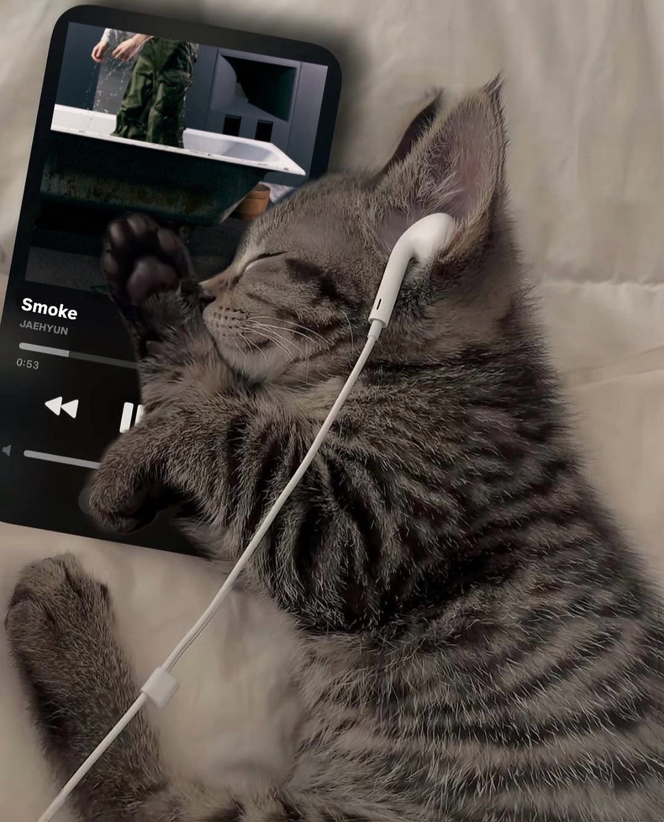 Dec2mb2r's tweet image. 🎧