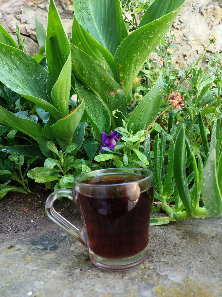 Bardakta sıcak bir çayın,
Yanında sevdiklerin OLsun.
Bedeninde sağlık,
Yüreğinde sevgi OLsun.
Daha ne OLsun...❣
Gerisi can sağlığı,
Gerisi 'hâyrlısı' OLsun.
Günaydınnnn🌞💗🌵🌷☕🌸💐🌾
#cumartesi