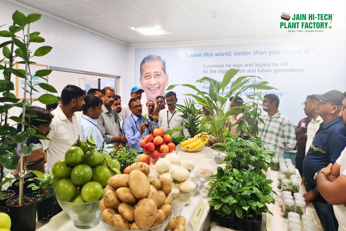BetterYields_GreaterProfit (@jaintissuecrops) on Twitter photo 🌱 Magic, Microscopes & Mind-Blowing Farming! 🔬✨
Welcome to the Jain Hi-Tech Plant Factory Lab!
🎥 Catch the glimpse. Feel the vibe.
And if you haven’t visited yet… you’re missing the real agri-magic! 🌱 Magic, Microscopes & Mind-Blowing Farming! 🔬✨
Welcome to the Jain Hi-Tech Plant Factory Lab!
🎥 Catch the glimpse. Feel the vibe.
And if you haven’t visited yet… you’re missing the real agri-magic!