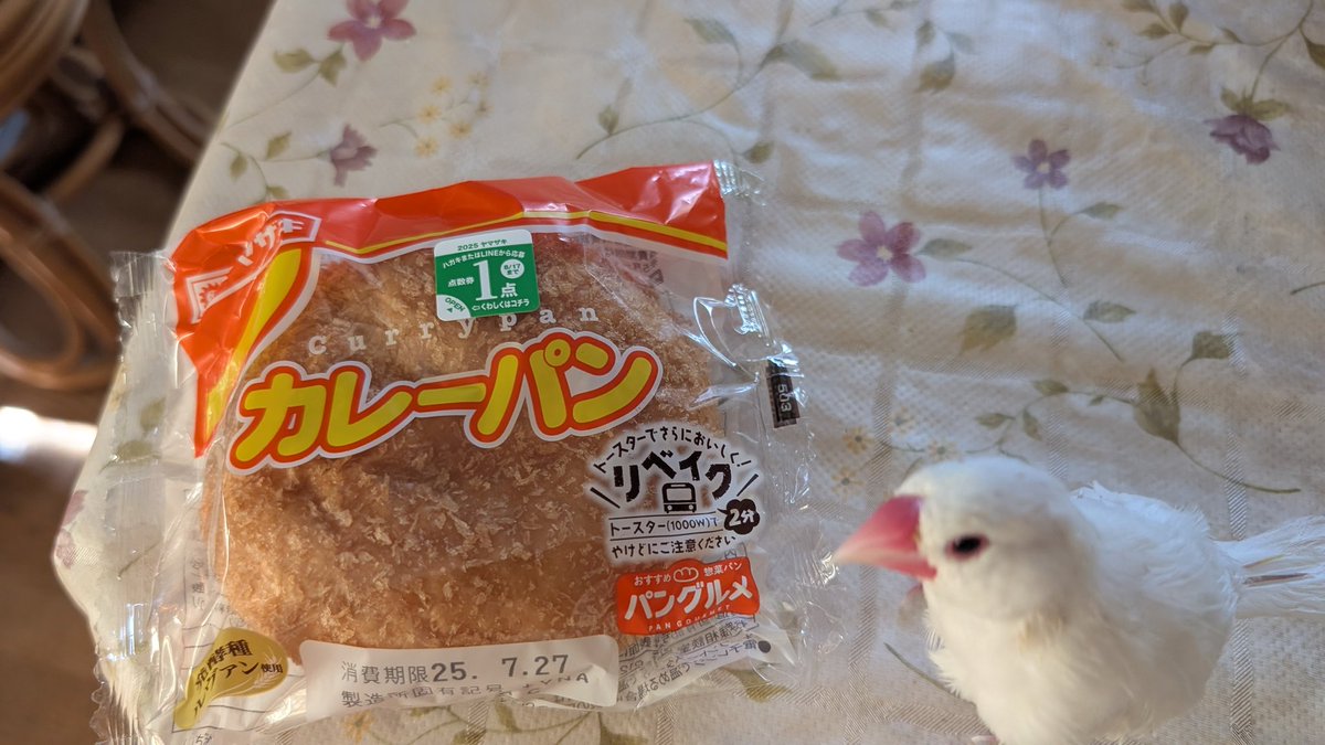 23ki3b's tweet image. 