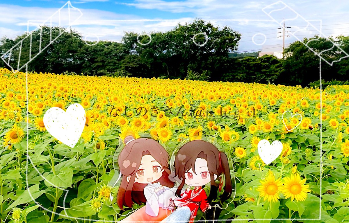 smtk_msr's tweet image. 先日なしのきさん(@n_h_g_c)とどんぐり交換していただきました!
向かい合わせになる構図でめちゃめちゃ可愛いきゅるるん花怜ちゃんアクスタ🦋🌸小花好きなので嬉しすぎて〜ッいっぱい愛でます🥰🫶
実は別ジャンルの共通の友人が繋ぎ合わせてくれたご縁での出会い✨🎀✨
本当にありがとうございます❣️