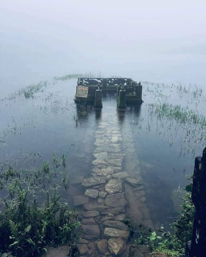 lovelyweather_'s tweet image. "Monsoon whispers tales of old."
Whats your favourite places?
Here is my list ,
Best Places to Visit in Monsoon
1. Devaramane
Devaramane is located in Chikkamagaluru district of Karnataka, India. Specifically, it's a village within the Mudigere Taluk of the district
2.…