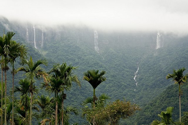 lovelyweather_'s tweet image. "Monsoon whispers tales of old."
Whats your favourite places?
Here is my list ,
Best Places to Visit in Monsoon
1. Devaramane
Devaramane is located in Chikkamagaluru district of Karnataka, India. Specifically, it's a village within the Mudigere Taluk of the district
2.…