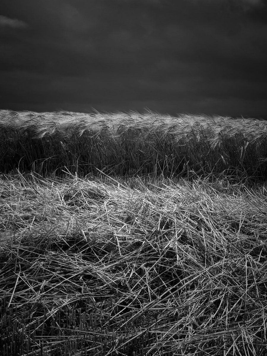 olbil's tweet image. #Gallery365SaturdayMono
@Gallery365photo
#Gallery365in2025
#photography