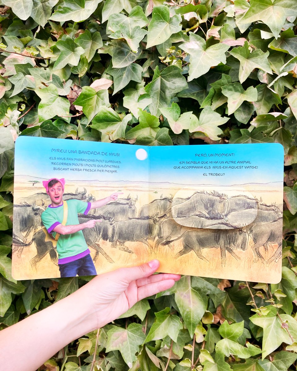 Grup62's tweet image. 🌟 En Titó, el personatge estrella del SX3, et convida a una aventura per la sabana! 🐘🦒
Imita animals, troba sorpreses i diverteix-te amb aquest llibre en majúscules, ideal per a primeres lectures.
📚 T’hi apuntes? 👉 lc.cx/jT_UND
Preguntar a ChatGPT