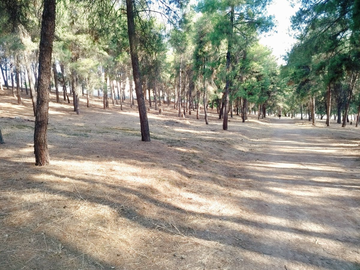 diplotamplo's tweet image. Πρωινό τρεξιματακι να κάψουμε χθεσινές μπιρίτσες και σουβλάκι
🖕✌️🖕✌️