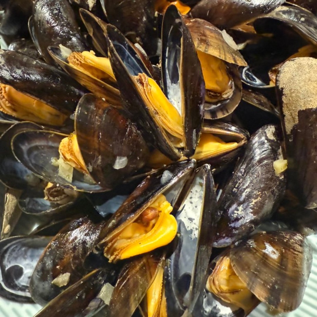 gauchecaca's tweet image. ⚠️⚠️
Nous apprenons que LFI va envoyer un troisième rafiot pour lutter contre la famine à Gaza avec cette fois-ci à son bord Ersilia Soudais et Mathilde Panot.
Nom de l'opération:
"Des boudins et des moules pour Gaza".
🤣😂