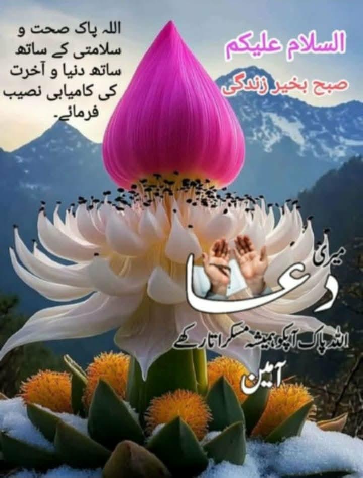 السلام وعلیکم 
"جو شخص چغل خور کی بات پر اعتماد کرتا ھے، وہ دوست کو اپنے ھاتھ سے کھو دیتا ھے۔"
مولا علی علیہ السلام 
الھم صل علی محمد و آل محمد 
صبح بخیر
خوش رہیں خوشیاں بانٹیں۔
#غزہ_کے_قتل_عام_کو_روکو
#StopPTIVictimization
<a href="/TM__SOW/">team SOW Official ٹیم شاہین اف واریئر</a> 
<a href="/ssz1472/">Zahraᵀᴹ__ˢᵒʷ</a>