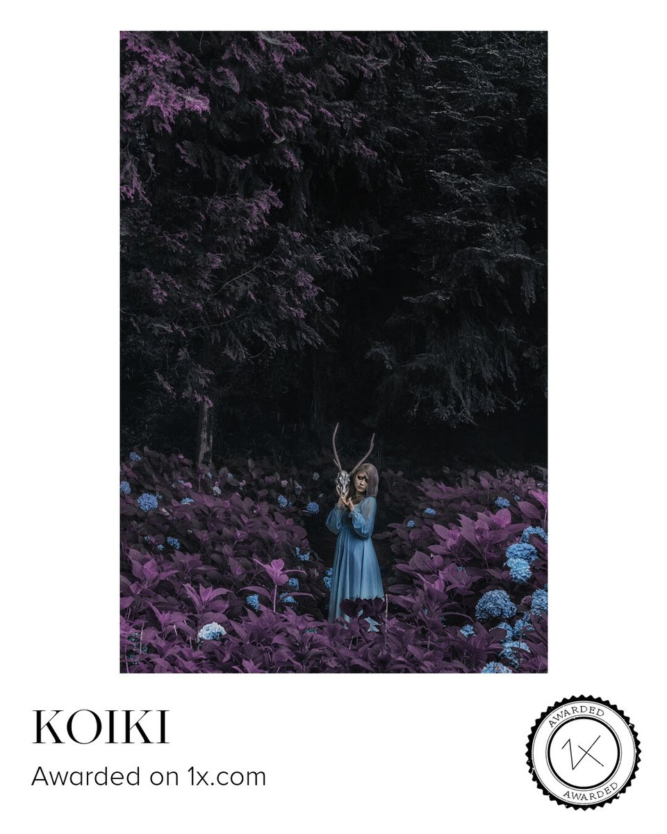 relate666's tweet image. Awarded on 1x.com
( No.237.238.239 )
model : @himemiya_ran
@1X_JPN
#1x #1x_com #海 #紫陽花