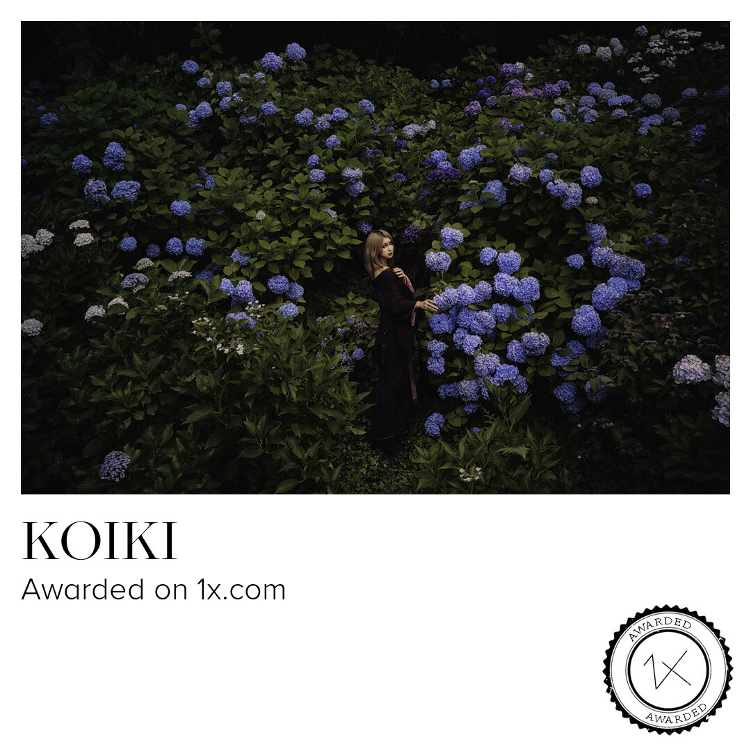 relate666's tweet image. Awarded on 1x.com
( No.240.241.242 )
model : @himemiya_ran
@1X_JPN
#1x #1x_com #紫陽花