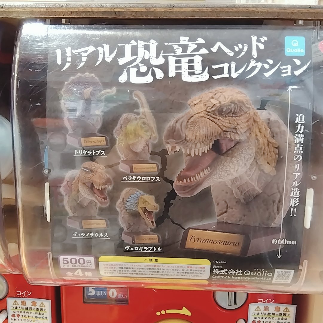 hirogachaoukoku's tweet image. 🔥ガチャフェス商品紹介🔥
#Qualia
リアル恐竜
ヘッドコレクション
迫力満点のリアル造形?!
これを飾るだけでお家が博物館のように!✨️
#カプセルトイ #ガチャガチャ #広島 #hiroshima #本通り #ガチャ王国 #ガチャ #gacha #扭蛋 #캡슐토이 #가챠 #恐竜