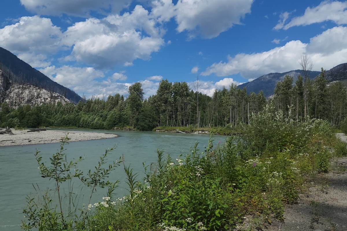 Tragedy on the water: Man dies near Squamish-Cheakamus river junction dlvr.it/TM731c