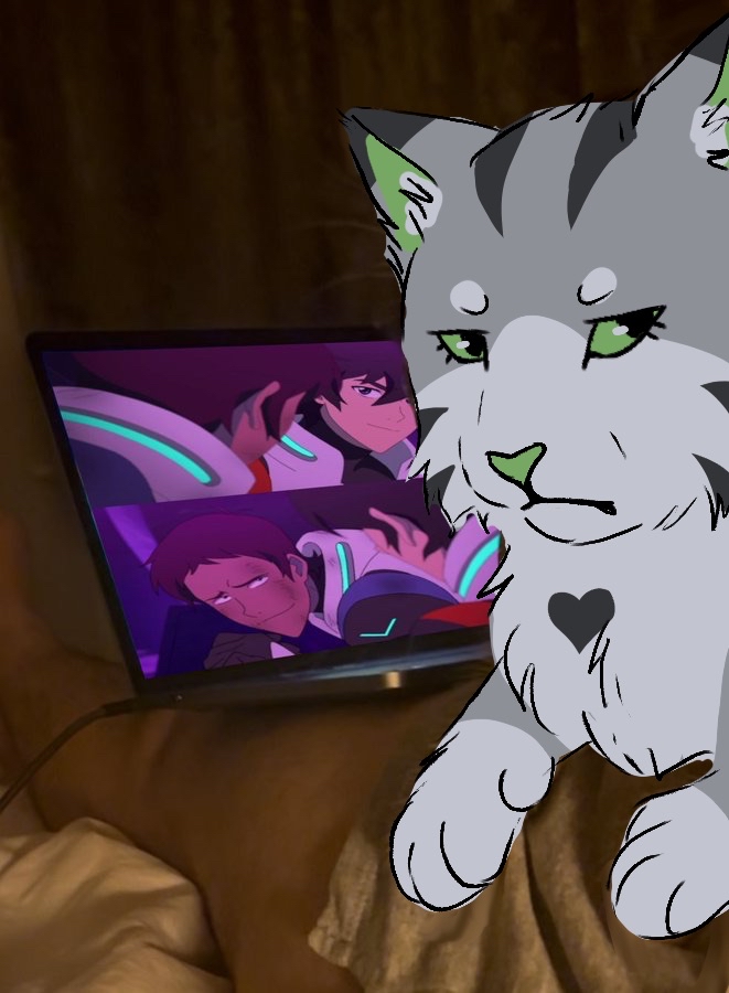 xKiwiTheKidx's tweet image. Drew my sona over the homophobic cat