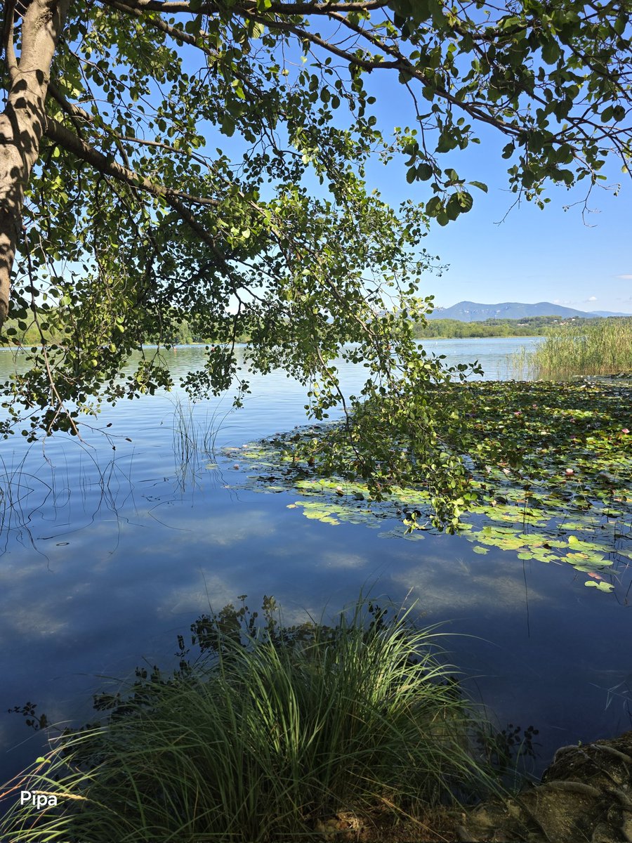 pipapipia's tweet image. Lake landscape full of charm and beauty.💙💚