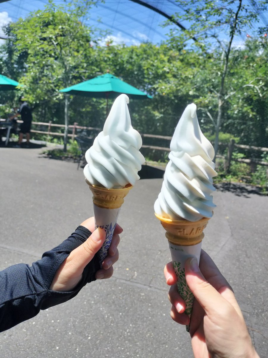 kyon_rp_'s tweet image. めっちゃ溶けるの速くて速攻で撮影して速攻で食べる🍦🍦
ラムネ&amp;amp;ミルクのミックス！！
夏の味！美味しかった〜😋