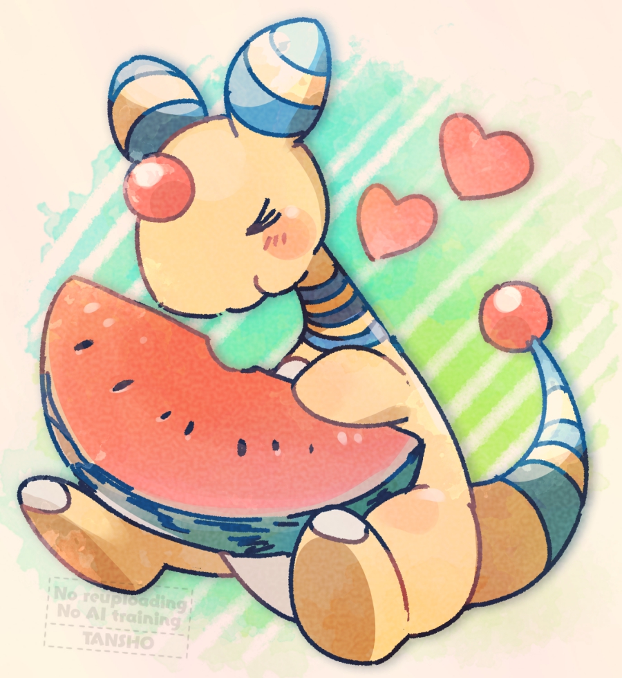 やっぱりスイカが好き！🍉